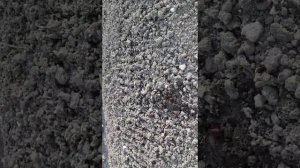 Самый простой и вкусный рецепт шашлыка. Готовит Грузин.