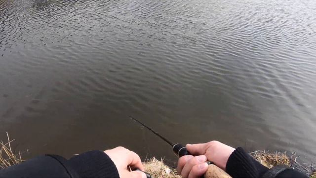 Форель на блёсны. Не простая рыбалка.03.2018 смотреть онлайн