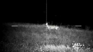 PARD DS 35 70 lrf  4