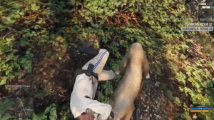 GTA 5 RP Maddyson: Пума наносит ответный удар