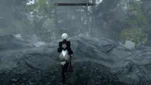 Nier Automata running for sum reason