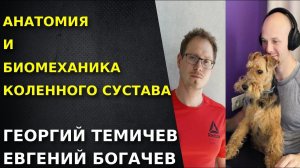 Анатомия и биомеханика коленного сустава. Георгий Темичев. Евгений Богачев.