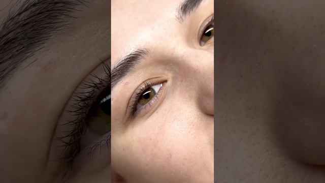 Эффект наращивания ресниц Американка ? #макияж #наращиваниересниц #makeup #обучение #lash #beauty