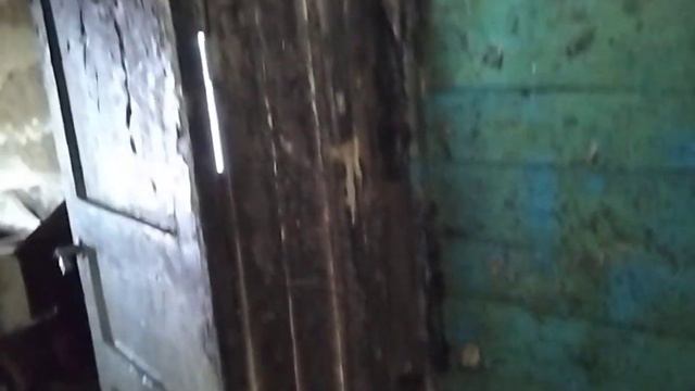 Обретение иконы Пресвятой Богородицы Неопалимая Купина. / Семья Толмачёвых.