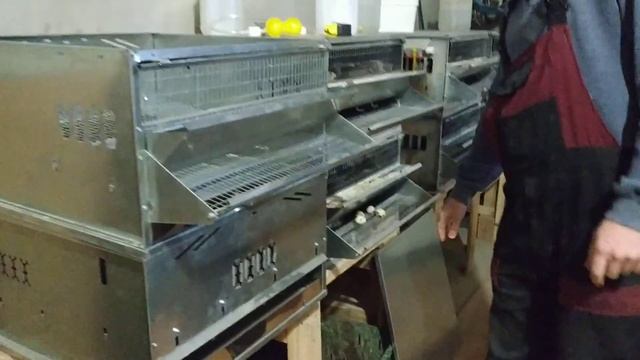 Обзор клеток для перепелов "Крейзи ферма" смотреть онлайн