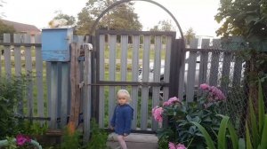 СТАВИМ НОВЫЙ ЗАБОР, КАЛИТКУ ПЕРЕД ДОМОМ. Влог про жизнь в деревне.