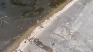 Поиск с поисковым магнитом на озере ТЭЦ-2. Опасная, но интересная находка)