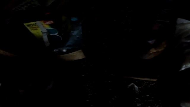 Vlog: Приехал с дальняка, а в моем доме уже живут... смотреть онлайн