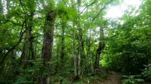 Поход на гору Собер-Баш. Краснодарский край. 1 часть.