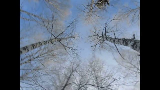 Последние дни Ноября... смотреть онлайн