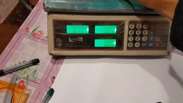 Огурец БЁРН, ЛЕНАРА, ТИБУРОН. сравнительная характеристика. ЧАСТЬ 1. Моё первое впечатление смотреть онлайн