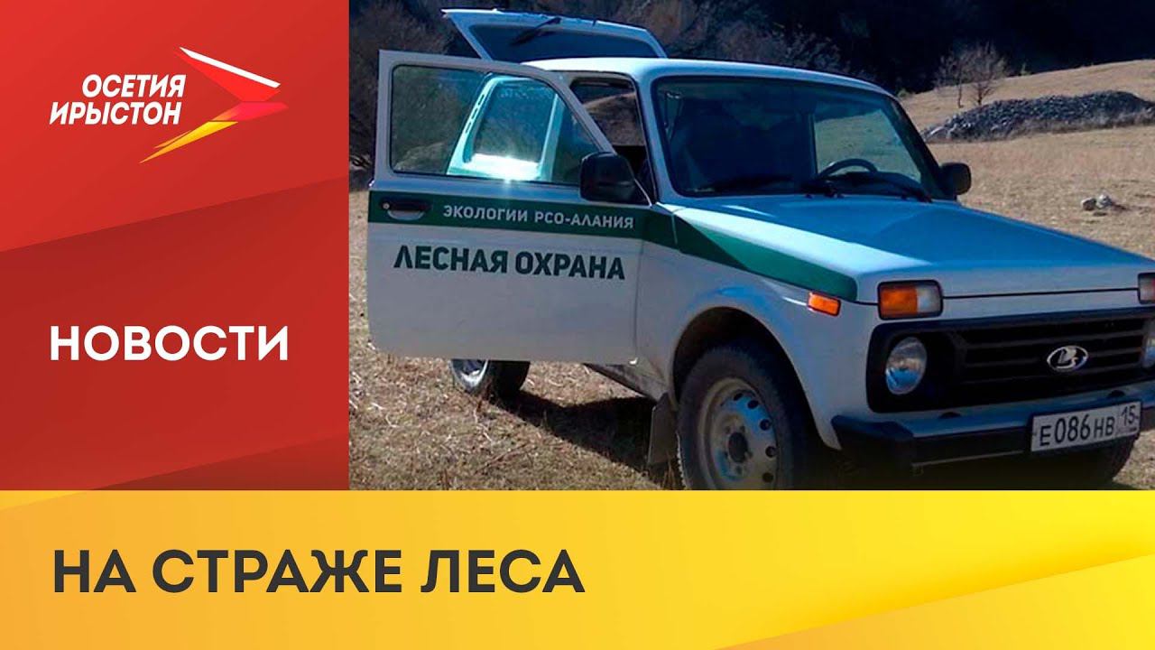 Специалисты Минприроды РСО-Алания круглосуточно патрулируют хвойные леса