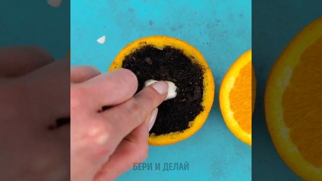 ФАНТАСТИЧЕСКИЕ ЛАЙФХАКИ И ЛУЧШИЕ ИДЕИ ДЛЯ САДОВОДСТВА