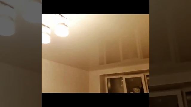 Натяжные потолки Череповец компания СОКОЛ. Отзыв о работе нашей компании. смотреть онлайн