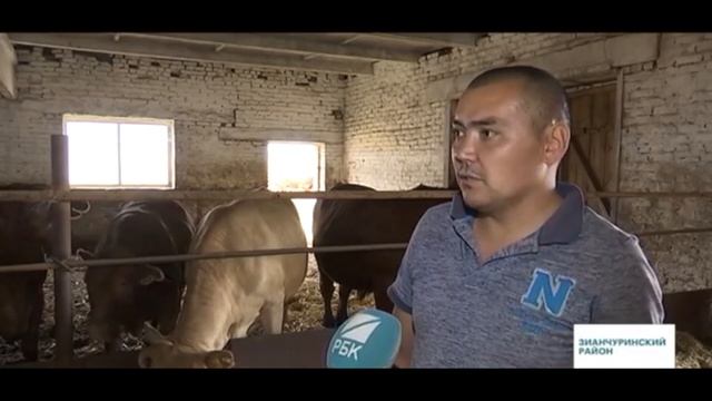 Завод по производству говядины ООО «Оренбив»