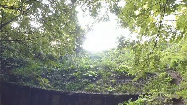 Из Кутаиси в Кобулети. Курортная Аджария, Грузия. Эпизод 8