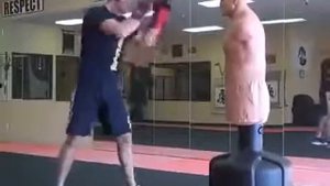 Bob Box XL отработка боксерских техник