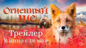 Огненный лис, 2024