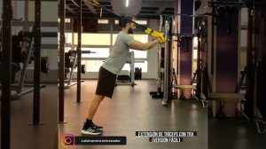 Extensión de Triceps con TRX nivel fácil