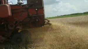 Комбайн Нива СК-5 січкарня, измельчитель. Початок жнив.