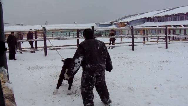 Защитная служба САО Гром смотреть онлайн