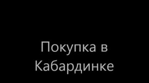 ананасовая  дыня. покупка в Кабардинке