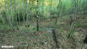 BSE Z5. Катаем на лайте в 4K.