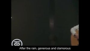 After the Rain - Stas Namin - Russian to English Translation/После дождя - Стас Намин - перевод