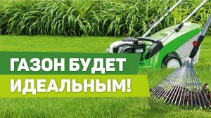 Весенний уход за газоном. Обязательные работы