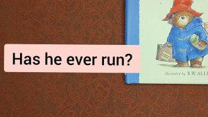 Past Simple with never and Present Perfect with when.(Правильно учим неправильные глаголы.)