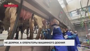 36-й областной конкурс операторов машинного доения прошел в Приозерском районе