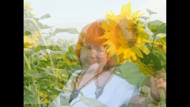 Подсолнух- маленькое солнце