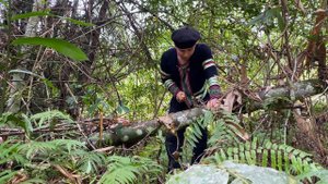 17 year old single mothers - Pao and Huong no longer miss appointments...