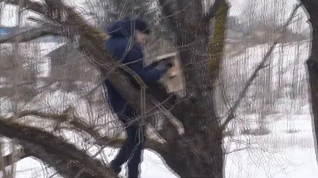 Установка скворечников и синичников 2021
