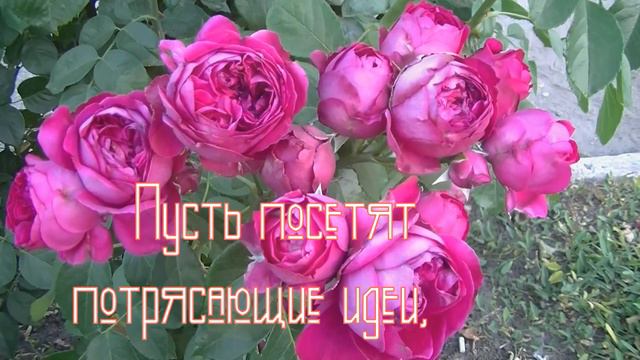 ЧУДЕСНОЕ ПОЖЕЛАНИЕ ДОБРОГО УТРА .ПРЕКРАСНОГО ДНЯ !! МУЗЫКА СЕРГЕЙ ЧЕКАЛИН смотреть онлайн