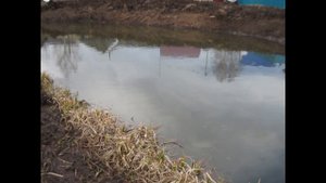 Строительство пруда в деревне...начало