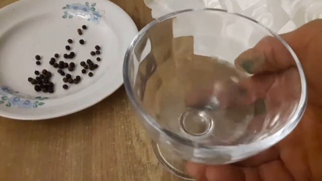 Учимся инкубировать Индейку/инкубатор НЕСТ профессионал/ вес индюшат с нуля смотреть онлайн