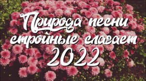 ОЧЕНЬ КРАСИВОЕ ПЕНИЕ БРАТА! (Природа песни стройные слагает 2022)