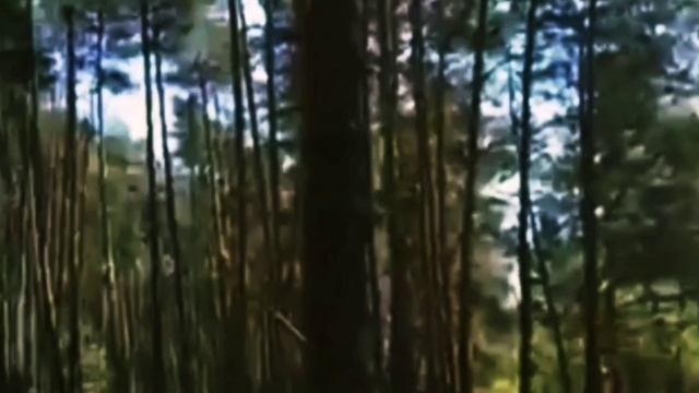 Video.Guru_20230701_104813972.mp4 смотреть онлайн