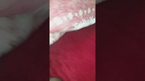 НОВОГОДНЯЯ СКАТЕРТЬ ОТ ЭЙВОН.ВСТРЕЧАЙТЕ 2020 ГОД КРАСИВО!