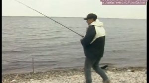 Береговая ловля судака в Саратовской области