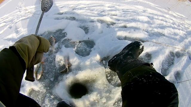 Рыбалка на плёсах. Малые Чаны ноябрь2021