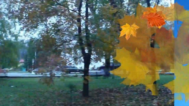 Кавалеровская осень. Красавица ОСЕНЬ. смотреть онлайн