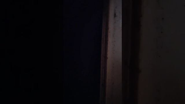 Звук который вызывает мурашки по коже | Я слышу эти звуки почти каждую ночь