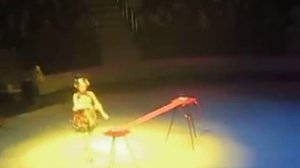 Новогоднее представление в цирке