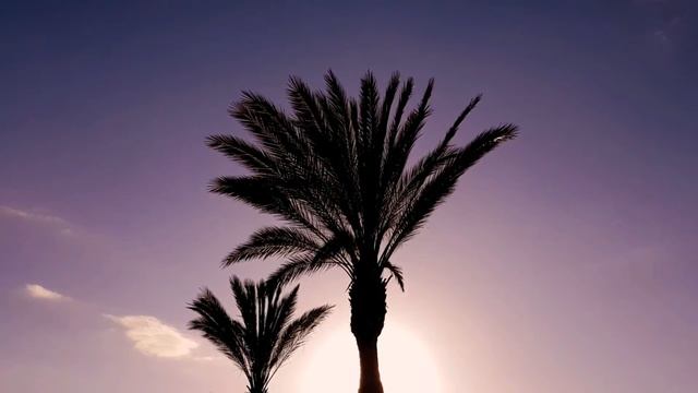 Grande valse brillante in E flat major, Op. 18 смотреть онлайн