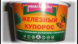 Почему у груши желтеют листья