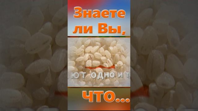 Знаете ли вы, Что? Рис