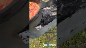 Патлыжан Манжасы по Гагаузский