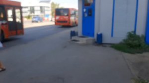 Казанские Автобусы и Троллейбусы (ул.Минская) | Kazan Buses & Trolleybuses (Minskaya Str) 10.08.202